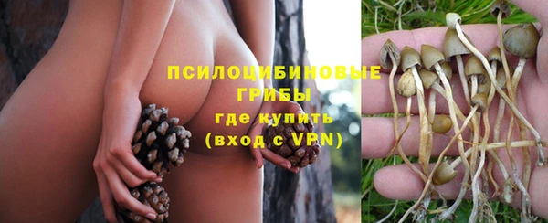 не бодяженный Арсеньев